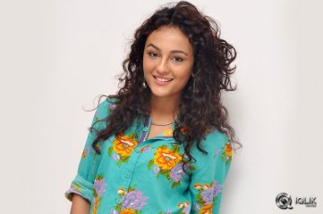 Seerat-Kapoor-at-Run-Raja-Run-Movie-Press-Meet